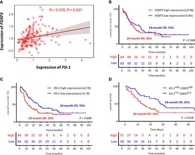 Increased PD-1+Foxp3+ γδ T cells associate with poor overall survival for patients with acute myeloid leukemia